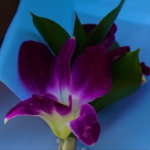 Meet your Posher, Tori